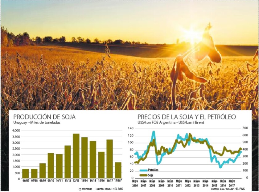 soja-y-petroleo.jpg