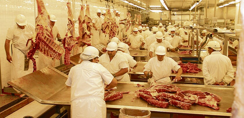 Carne