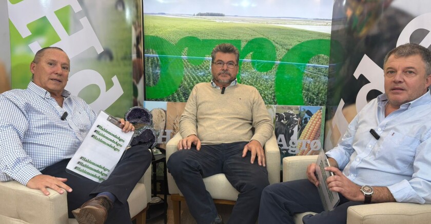El presidente de Fucrea, Pablo Sánchez, participó este domingo del programa Hablemos de Agro, emitido por Canal 10.