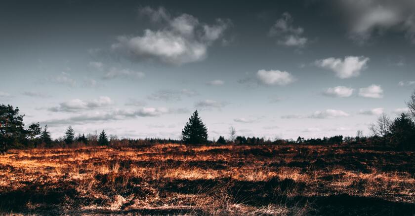 Deforestación Foto: Pexels | Matthis Volquardsen