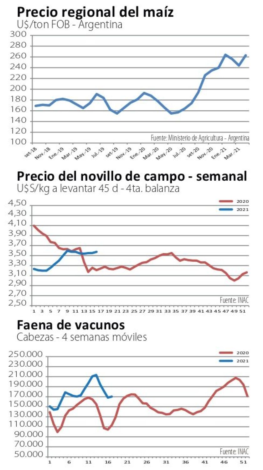 graficas-indicadores.jpg