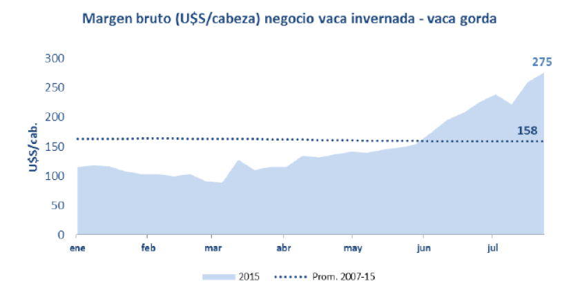 GRAFICO 3