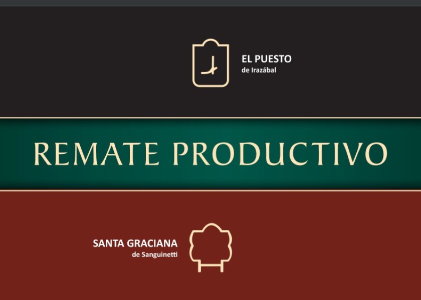 Previa Remate Productivo.jpg