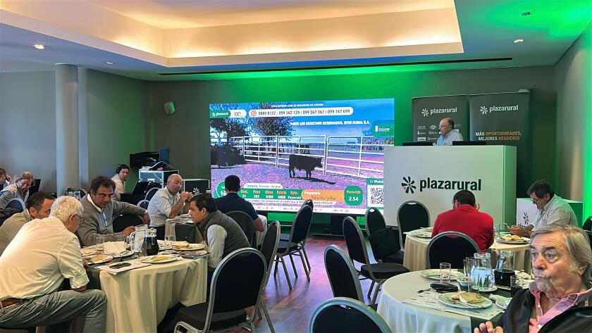 Foto Plaza final marzo .jpg