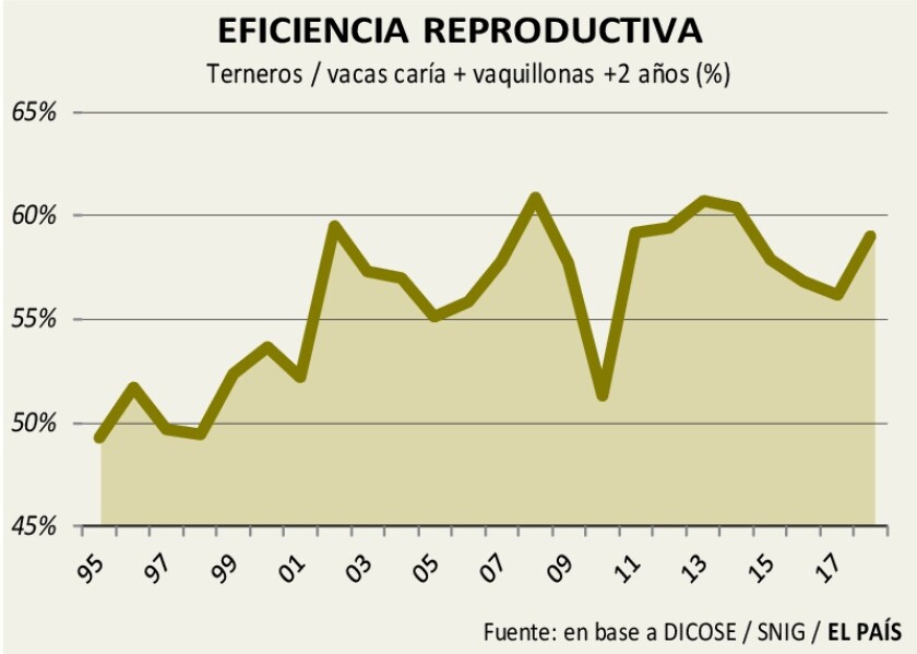 imagen-eficiencia-reproductiva-001.jpg