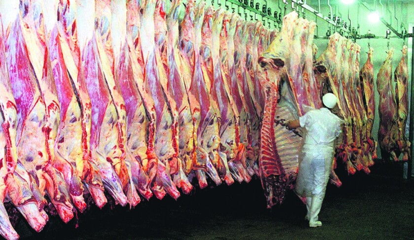 Carne