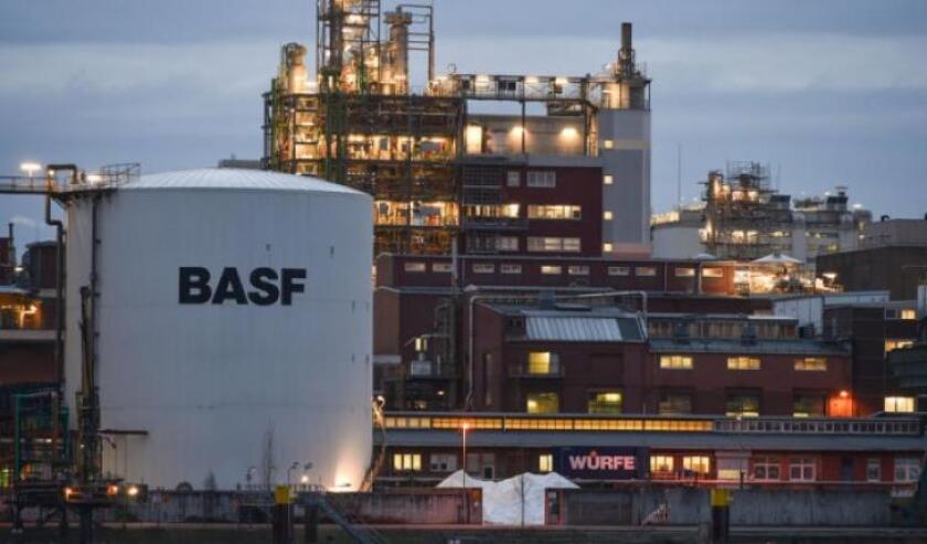 basf-factory-source-uwe-anspach-dpa-e1456913531248-0.jpg