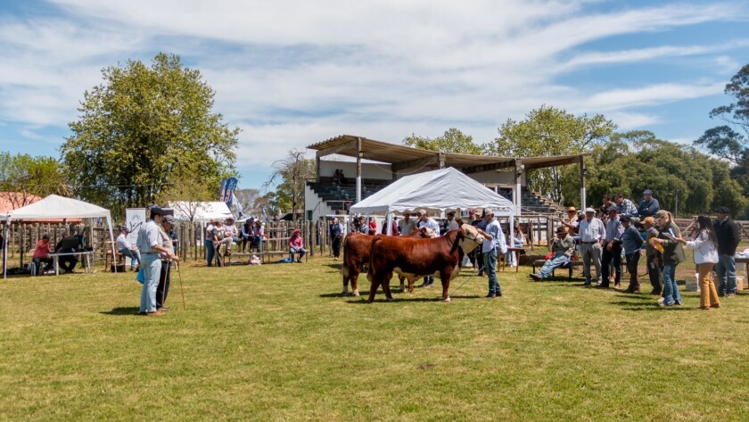 Expo Rocha ok.jpg