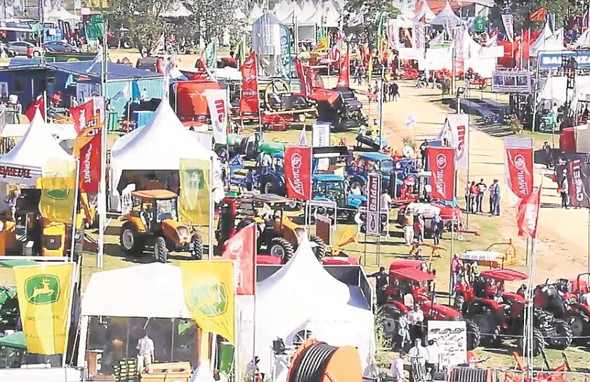 expo-melilla-foto-tv-zz.jpg