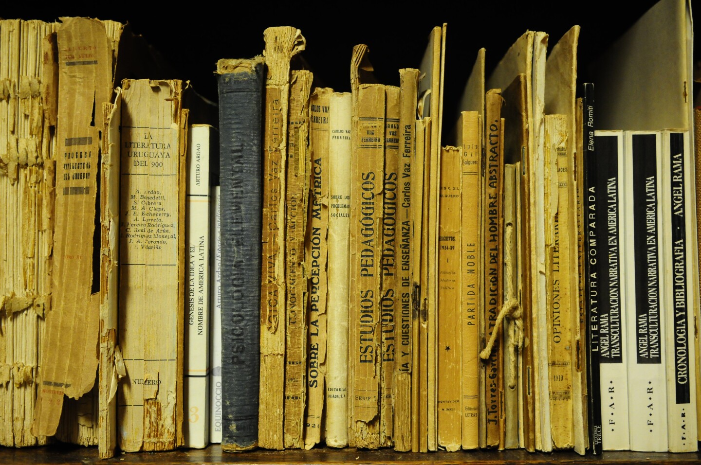 Libros en la Biblioteca Nacional.
