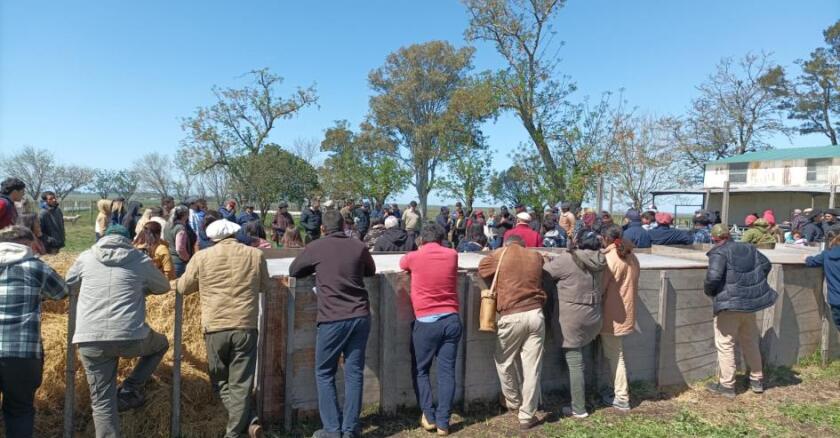 La jornada de capacitación se desarrolló en el campo del SUL ubicado en Salto.