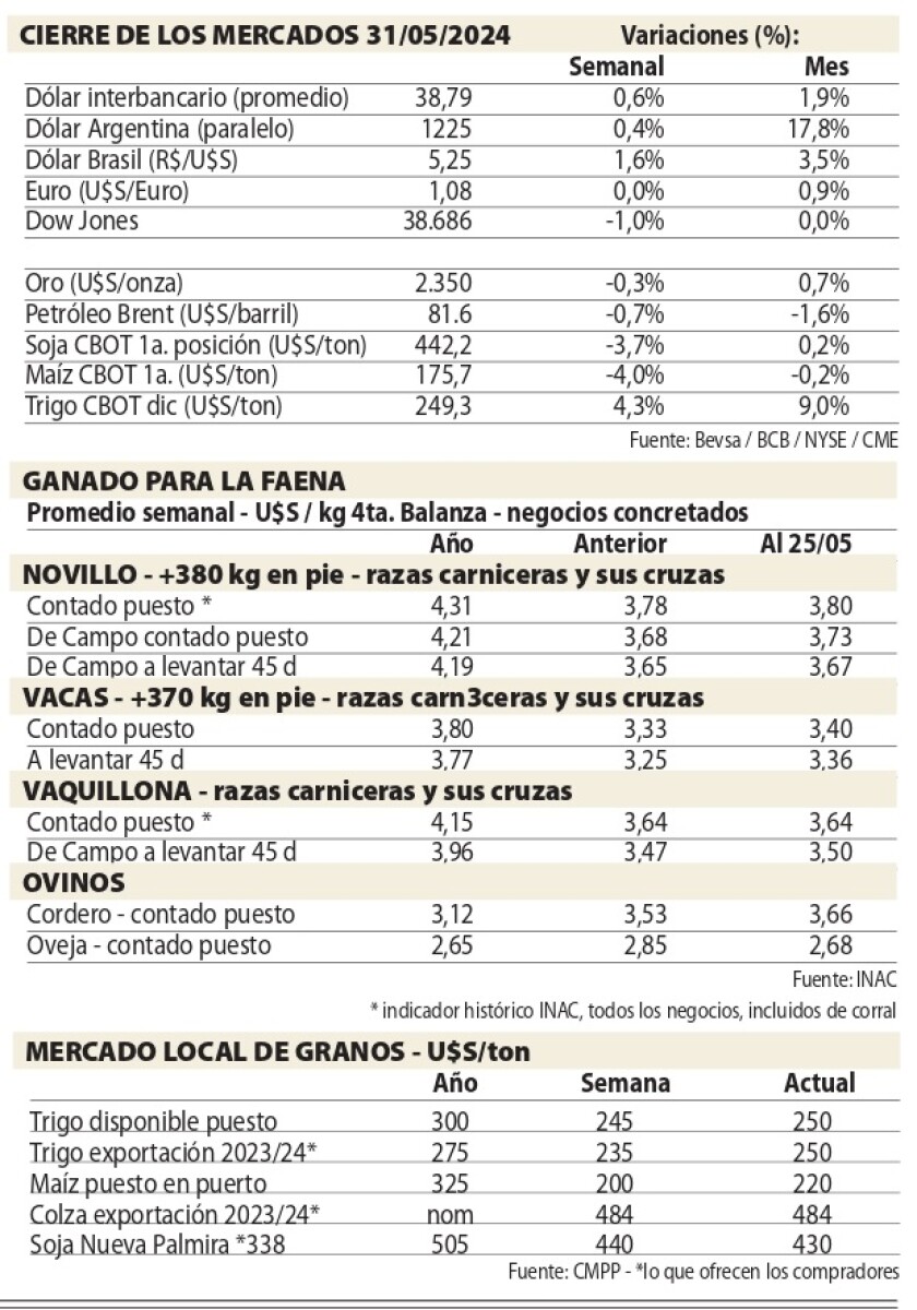cUADROS NcL.jpg