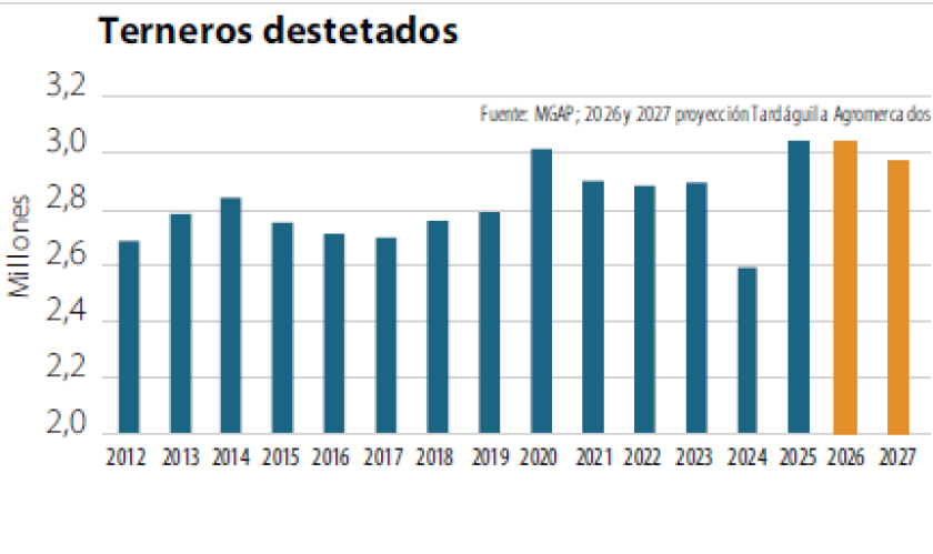 Terneros destetados.
