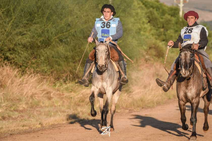 Primero menores.jpeg