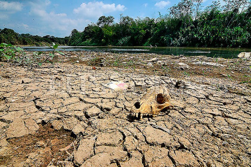 Sequía en Bolivia. Foto. El País.co