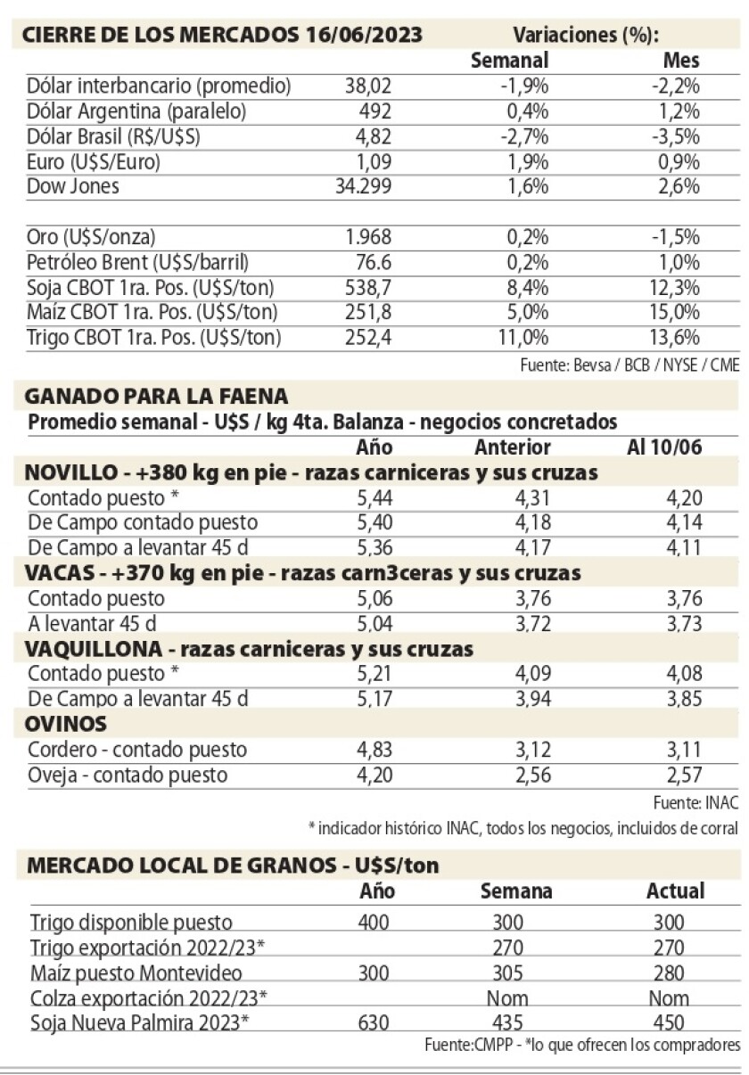 1 Cuadros NCL.jpg