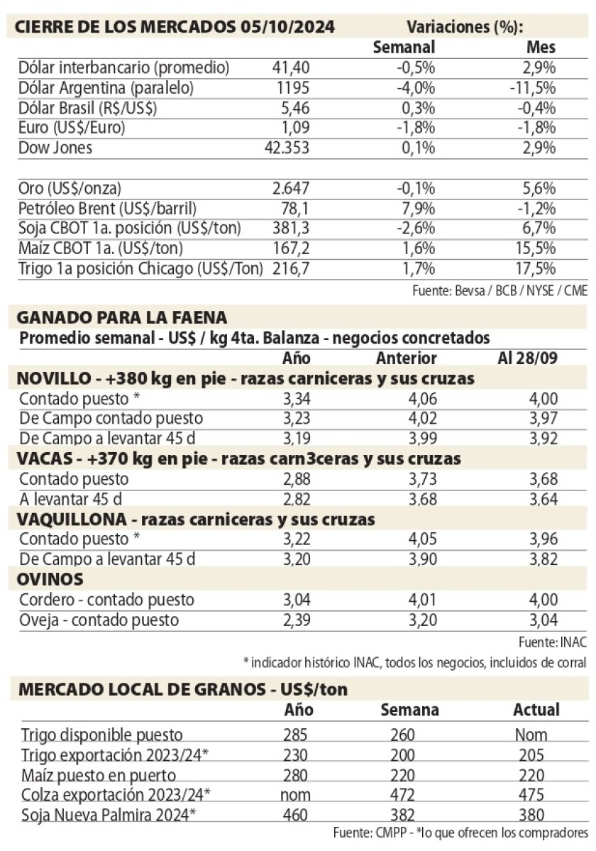 Cuadro NCL.jpg