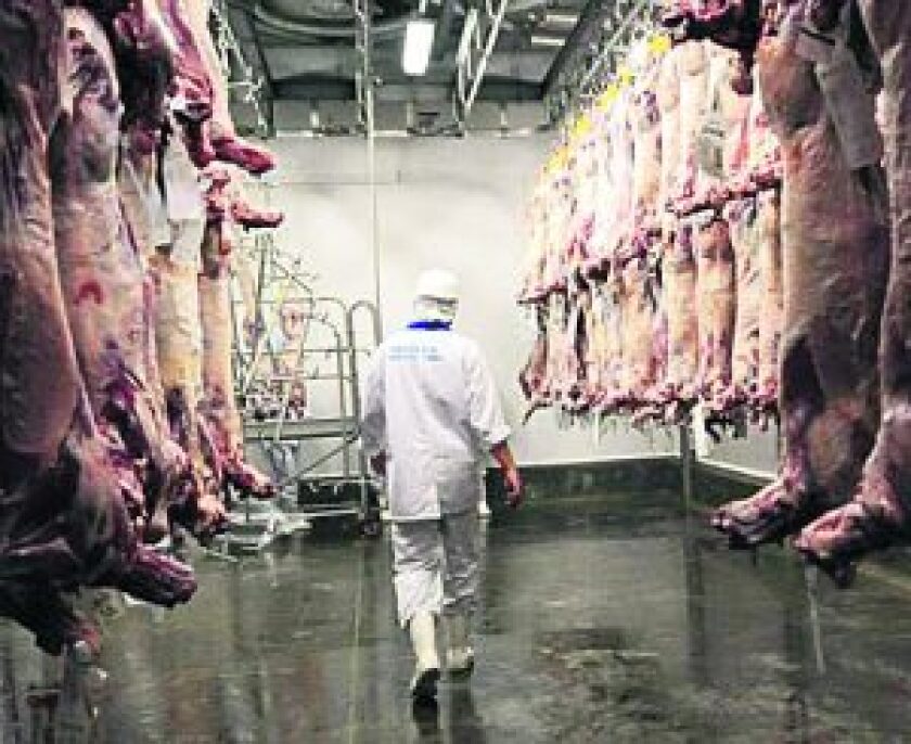 imagen-carne12-e1524609716346-300x245.jpg