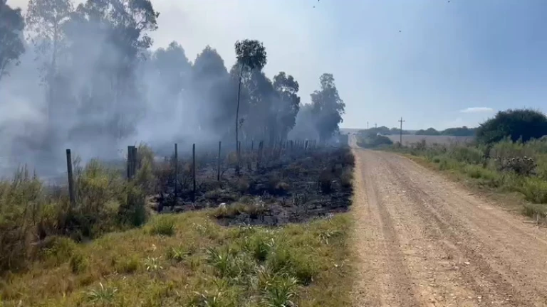 Bomberos trabajan para extinguir incendio en Laguna del Sauce