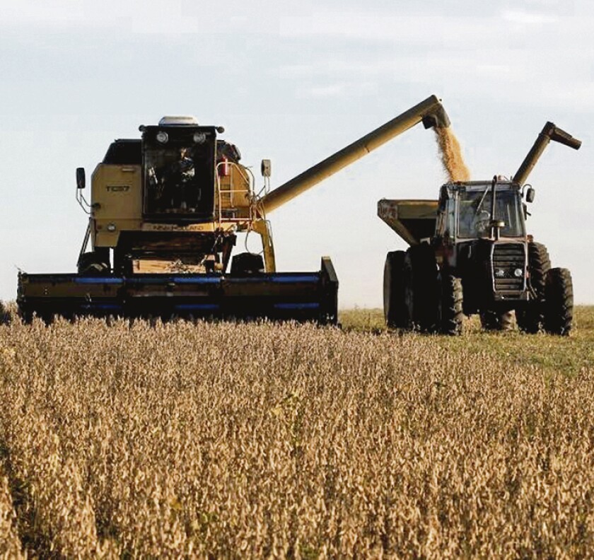 Campos de soja en una granja a las afueras de San José, Uruguay