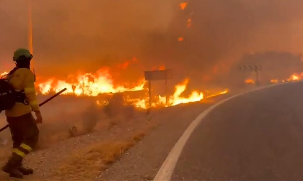 España: bomberos trabajando en un incendio forestal que causó 11 muertos
