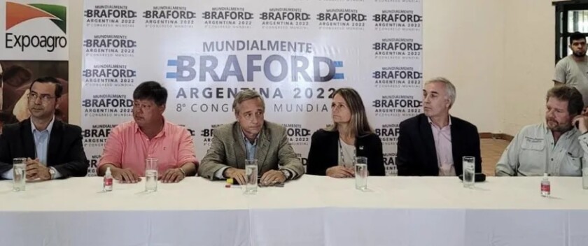 Braford Mesa.jpg