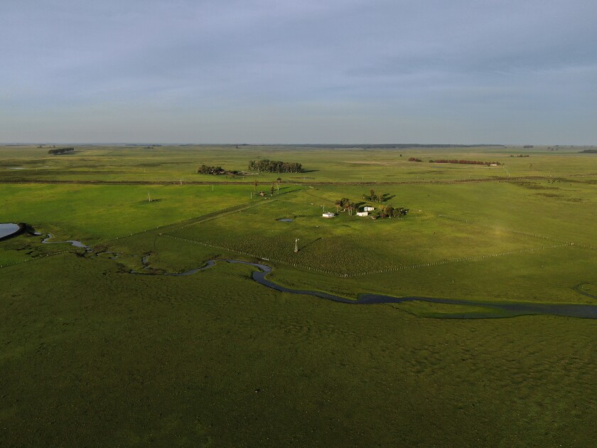 Foto campo.jpg