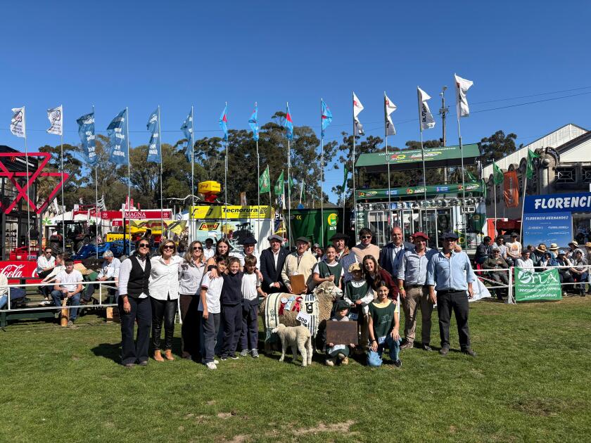 Gran Campeona Corriedale PO de Don Alfredo, de Tedesco.