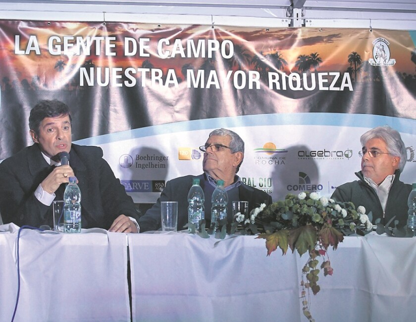 imagen-aic-3424.jpg