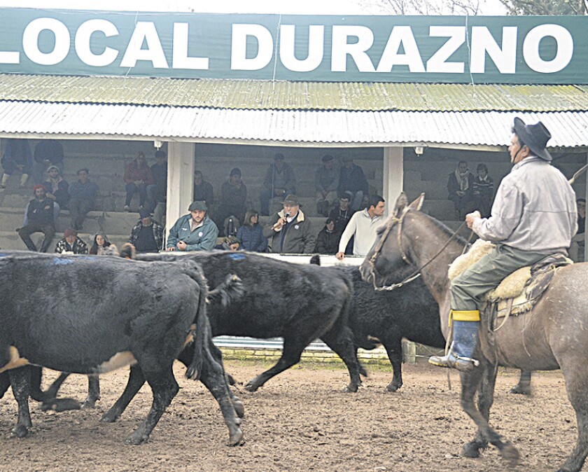 imagen-sin-titulo.jpg
