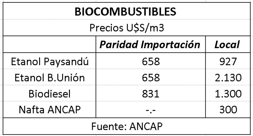 biocombustibles.jpg
