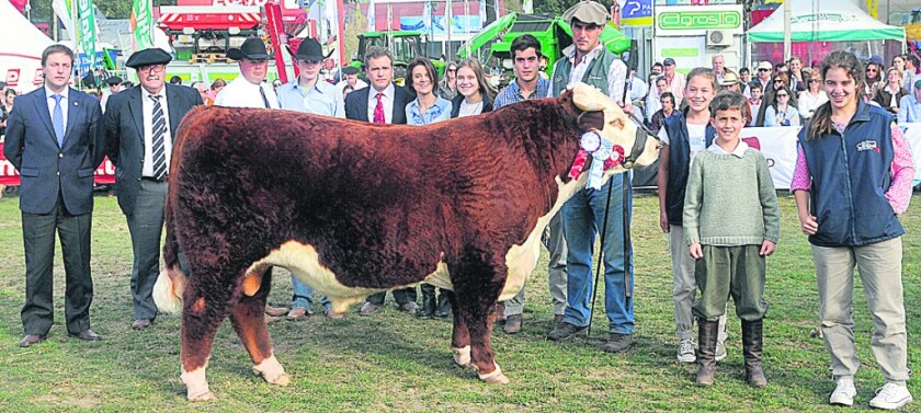 Hereford