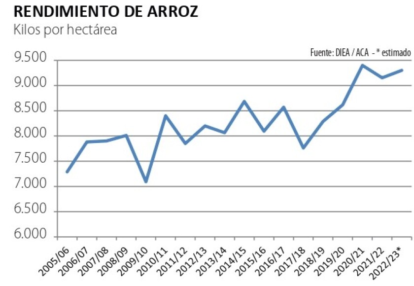 rendimiento de arroz.jpg