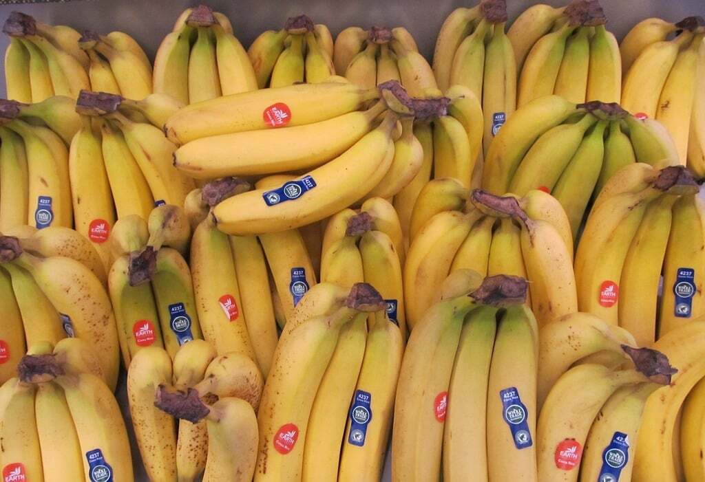 Bananas.jpg