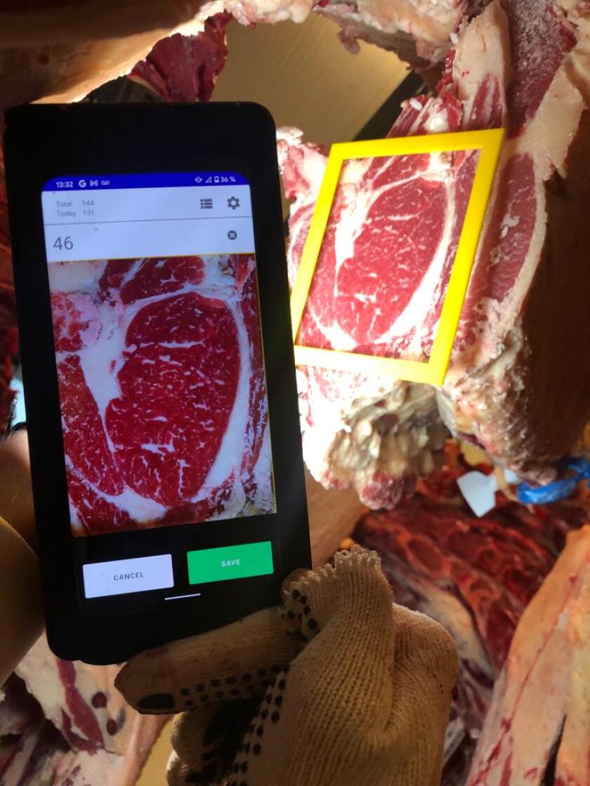 El marmoleado es un atributo sinónimo de calidad de carne y terneza, y los consumidores están dispuestos a pagarlo.