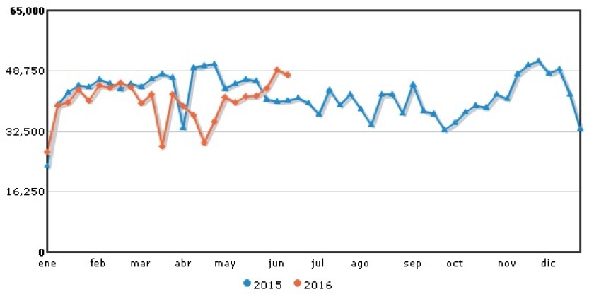 Faena de bovinos | Tabla de Inac | Rurales - El País.
