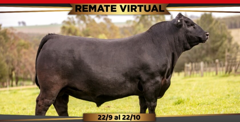 Foto previa remate La Santina.jpg