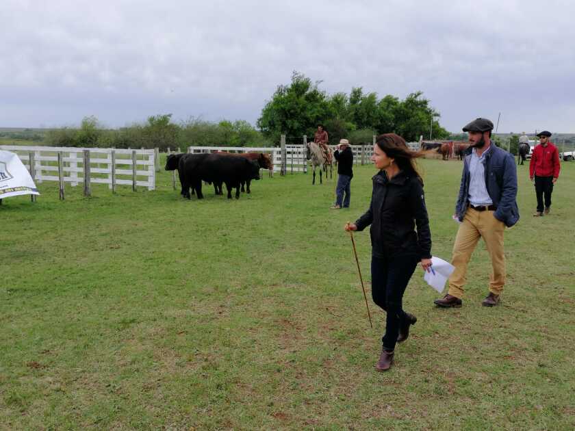 imagen-expo-artigas.jpg