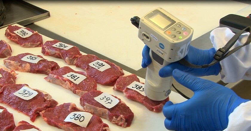 carne, carne en laboratorio