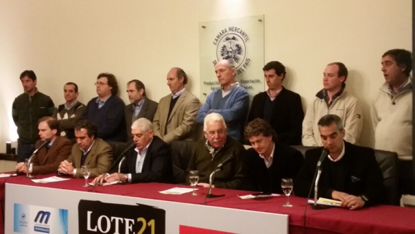 Lote-21