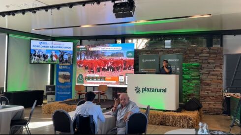 Foto Plaza martes.jpg