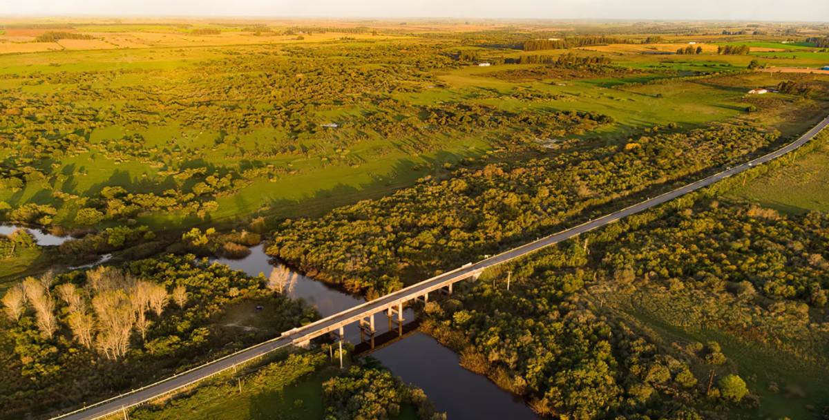 La Cámara Uruguaya de Inmobiliarias Rurales sigue creciendo con la ética como pilar