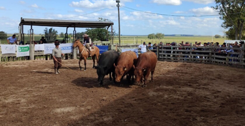 Expo Lascano 2.jpeg