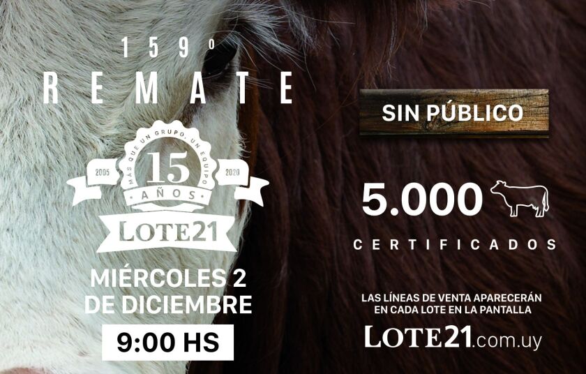 previa-lote-21.jpg