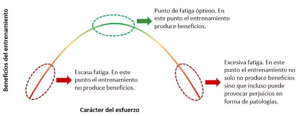 Esquema entrenamiento.jpg