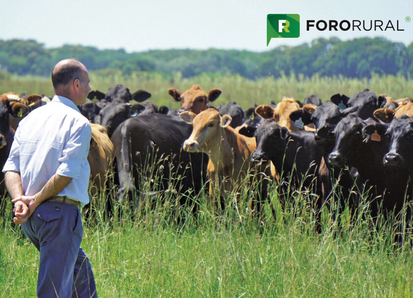 imagen-mejoramiento-gene-tico-vacas-veterin-12466071.jpg