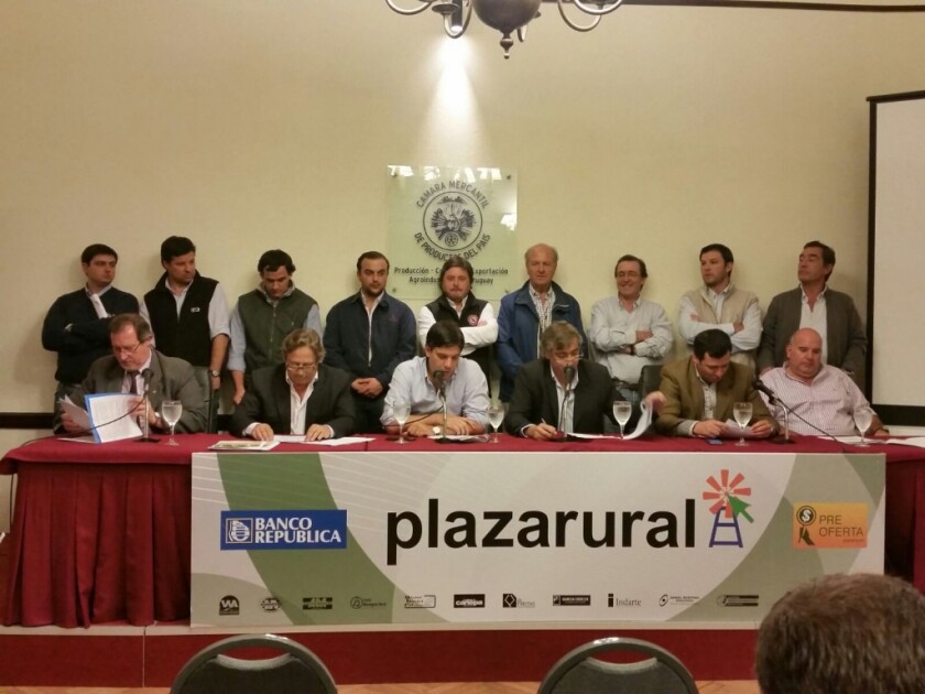Plazarural