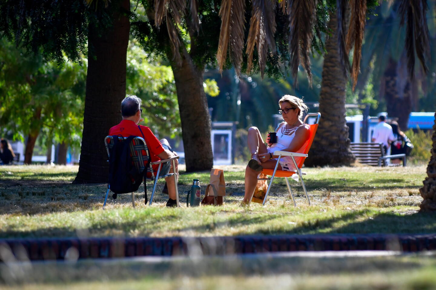 Dos personas sentadas en reposeras en un parque.
