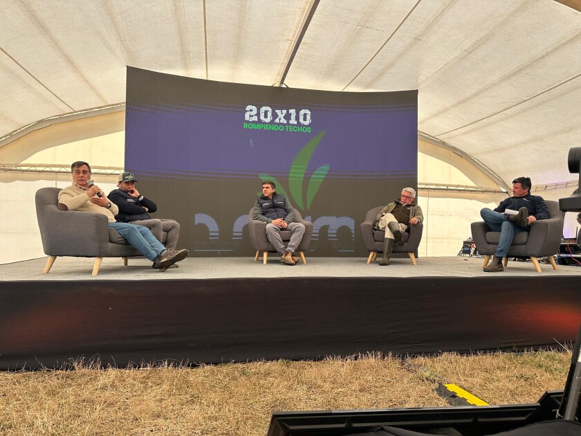 Pasturas 2025.