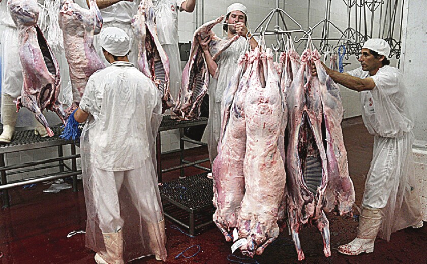 CARNE